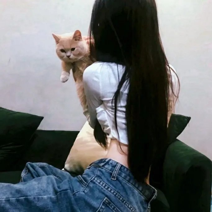 新娘航班